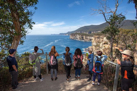 Historic Port Arthur Day Trip From Hobart Including Cliff-Top Walk To Waterfall Bay - Accommodation Directory 0