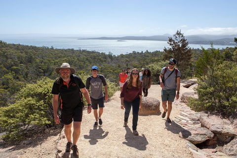 3-Day Tasmania Combo: Hobart To Launceston Active Tour - Accommodation Directory 3