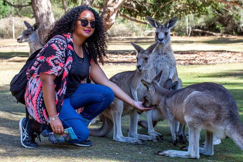 3-Day Tasmania Combo: Hobart To Launceston Active Tour - Accommodation Directory 5