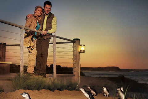 The Ultimate Melbourne Attractions Pass - Accommodation Directory 3