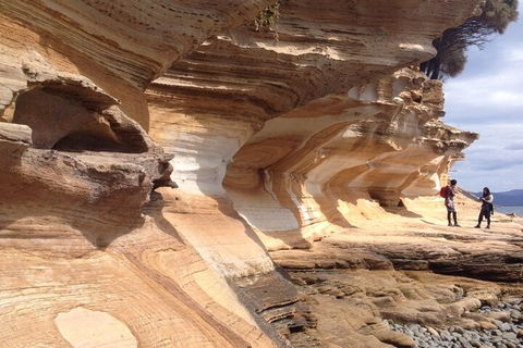 Hobart Minibus Full-Day Private Tour - Accommodation Directory 0