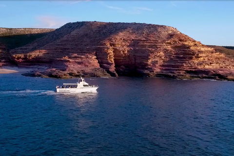 Kalbarri Sunset Coastal Cliff Cruise - Accommodation Directory 3