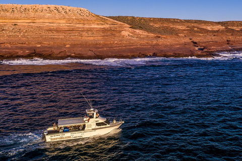 Kalbarri Sunset Coastal Cliff Cruise - Accommodation Directory 4