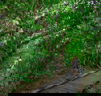 Green Island Eco Adventure from Cairns - Accommodation Directory