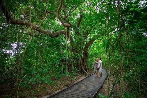 Green Island Eco Adventure From Cairns - Accommodation Directory 0