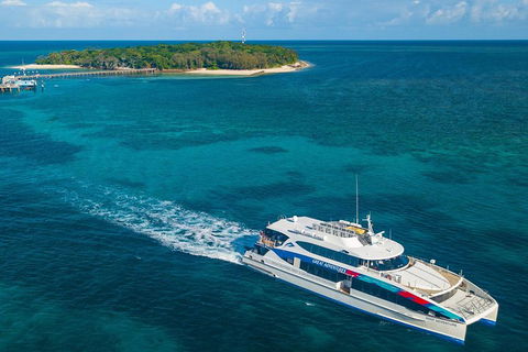 Green Island Eco Adventure From Cairns - Accommodation Directory 1