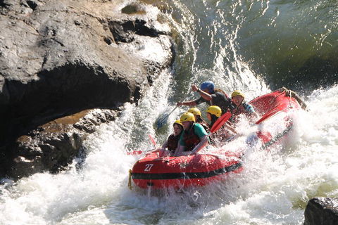 Barron Gorge National Park Half-Day White Water Rafting From Cairns Or Port Douglas - Accommodation Directory 2