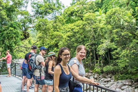 Cape Tribulation, Mossman Gorge, And Daintree Rainforest Day Trip From Cairns Or Port Douglas - Accommodation Directory 0