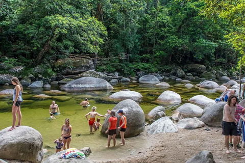 Cape Tribulation, Mossman Gorge, And Daintree Rainforest Day Trip From Cairns Or Port Douglas - Accommodation Directory 1