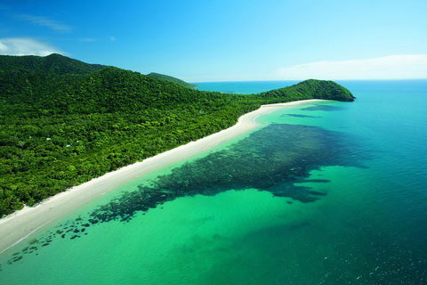 Cape Tribulation, Mossman Gorge, And Daintree Rainforest Day Trip From Cairns Or Port Douglas - Accommodation Directory 2