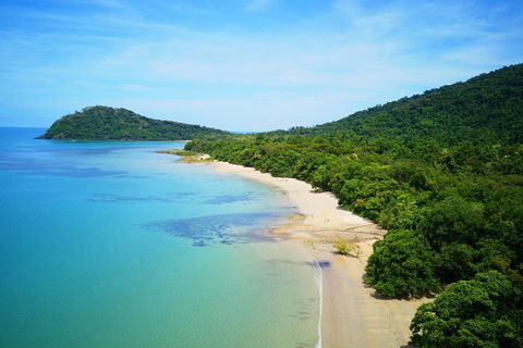 Cape Tribulation, Mossman Gorge, And Daintree Rainforest Day Trip From Cairns Or Port Douglas - Accommodation Directory 5