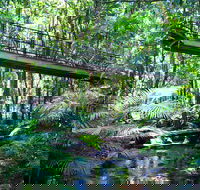 Double Pack-Ancient Rainforest and Waterfalls - Accommodation Directory