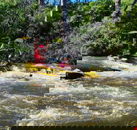 Yarra River Half-Day Rafting Experience - Accommodation Directory