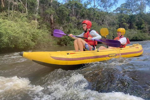 Yarra River Half-Day Rafting Experience - Accommodation Directory 1