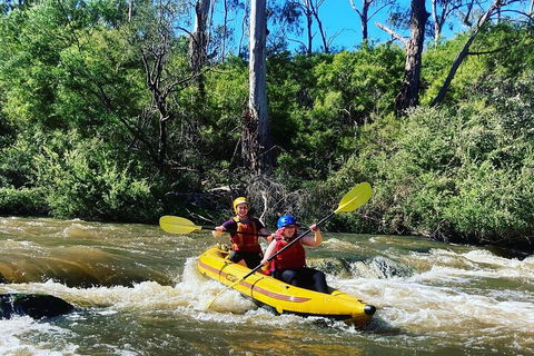 Yarra River Half-Day Rafting Experience - Accommodation Directory 2
