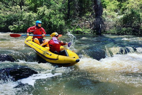 Yarra River Half-Day Rafting Experience - Accommodation Directory 4