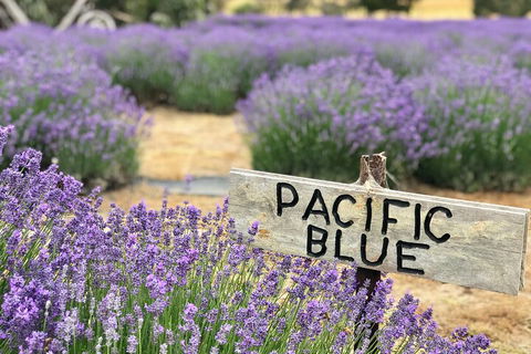Kangaroo Island Food And Wine Hop-on Hop-off Tour - Accommodation Directory 4