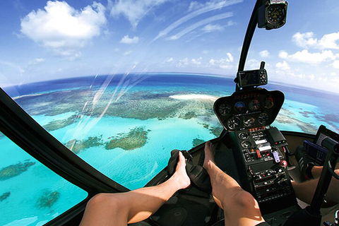 Private Coral Cay Bubbles Tour - Accommodation Directory 1
