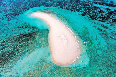 Private Coral Cay Bubbles Tour - Accommodation Directory 3