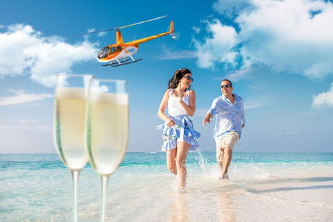 Private Coral Cay Bubbles Tour - Accommodation Directory 4