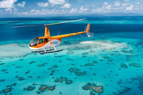 Private Coral Cay Bubbles Tour - Accommodation Directory 5
