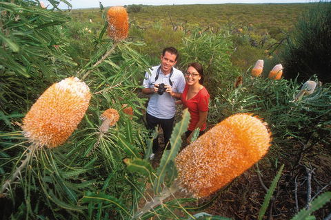 Best Of Perth Wildflower Season Day Trip - Accommodation Directory 0