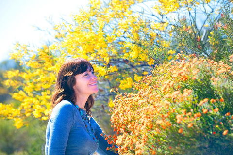 Best Of Perth Wildflower Season Day Trip - Accommodation Directory 2