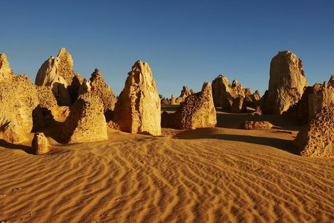 Full Day Pinnacle Desert Explorer From Perth Including Hillarys And Lancelin Sandboarding - Accommodation Directory 3