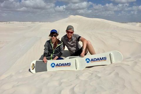 Full Day Pinnacle Desert Explorer From Perth Including Hillarys And Lancelin Sandboarding - Accommodation Directory 4