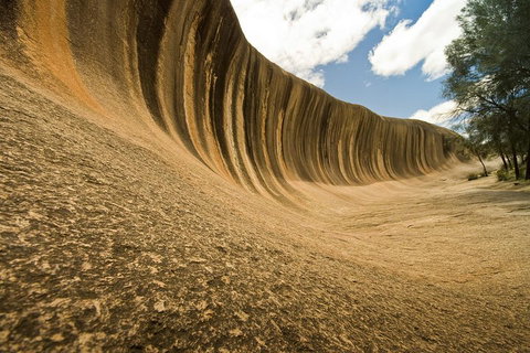 2-Day Wave Rock, York, Wildflowers & Aboriginal Experience - Accommodation Directory 1