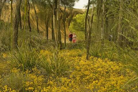 2-Day Wave Rock, York, Wildflowers & Aboriginal Experience - Accommodation Directory 2