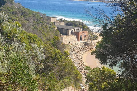 Fort Nepean And Quarantine Station Tour - Accommodation Directory 4
