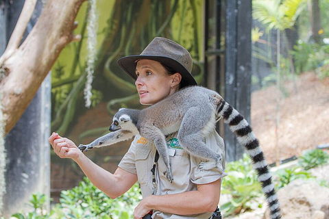 Currumbin Wildlife Sanctuary General Entry Ticket - Accommodation Directory 1