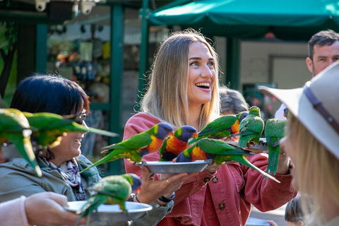 Currumbin Wildlife Sanctuary General Entry Ticket - Accommodation Directory 3