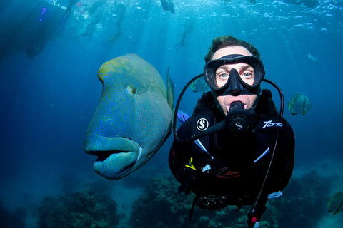 Full Day Reef Cruise Including 10 Minute Heli Scenic Flight: Get High Package - Accommodation Directory 1