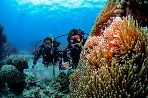 Full Day Reef Cruise Including 10 Minute Heli Scenic Flight: Get High Package - Accommodation Directory 5