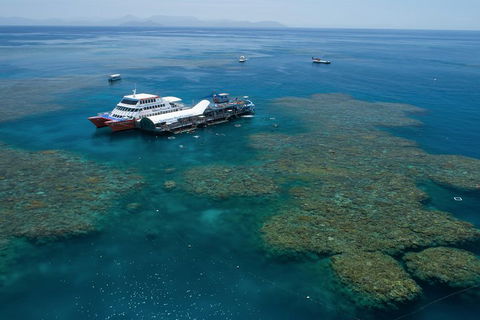 Cruise To Moore Reef Pontoon And Return Helicopter Flight From Cairns - Accommodation Directory 0