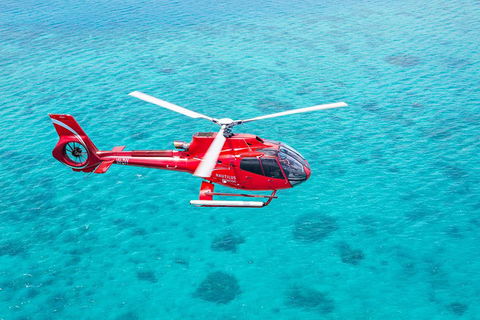Cruise To Moore Reef Pontoon And Return Helicopter Flight From Cairns - Accommodation Directory 1