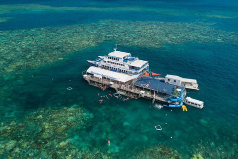 Cruise To Moore Reef Pontoon And Return Helicopter Flight From Cairns - Accommodation Directory 2