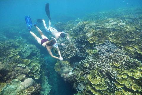 Cruise To Moore Reef Pontoon And Return Helicopter Flight From Cairns - Accommodation Directory 3