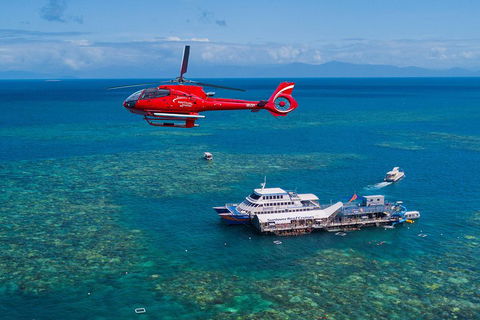 Cruise To Moore Reef Pontoon And Return Helicopter Flight From Cairns - Accommodation Directory 4