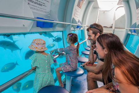 Scenic Helicopter Flight To Moore Reef And Return Snorkeling Cruise From Cairns - Accommodation Directory 3