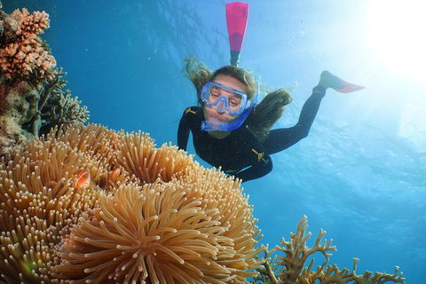 Helicopter And Cruise Packages From Port Douglas - Accommodation Directory 3