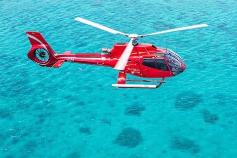 Helicopter And Cruise Packages From Port Douglas - Accommodation Directory 5