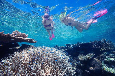 Cruise Out And Cruise Return, Plus 10 Minute Scenic Flight - Accommodation Directory 5