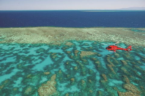 Ultimate Great Barrier Reef And Rainforest 45-minute Helicopter Tour - Accommodation Directory 1