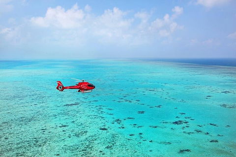 Ultimate Great Barrier Reef And Rainforest 45-minute Helicopter Tour - Accommodation Directory 2