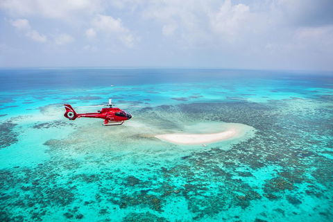 Ultimate Great Barrier Reef And Rainforest 45-minute Helicopter Tour - Accommodation Directory 3