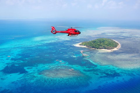 Ultimate Great Barrier Reef And Rainforest 45-minute Helicopter Tour - Accommodation Directory 4