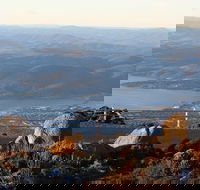 Mt. Wellington Bonorong and Richmond Day Tour from Hobart - Accommodation Directory